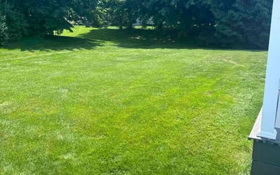Photo of Tiffini B.'s yard after getting lawn care in Stow, OH