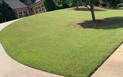 Photo of Ana S.'s yard after getting lawn care in Athens, GA