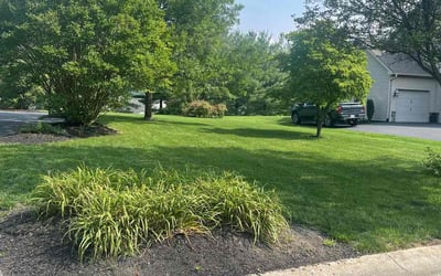 Photo of Shannon B.'s yard after getting lawn care in Camp Hill, PA