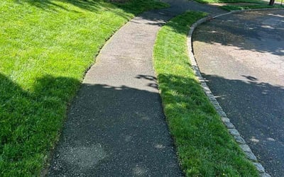 Photo of Mike R.'s yard after getting lawn care in Livingston, NJ
