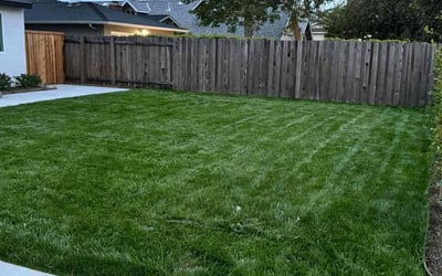 Photo of James C.'s yard after getting lawn care in Baldwin Park, CA