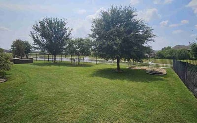 Photo of Michael G.'s yard after getting lawn care in Pflugerville, TX