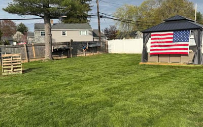 Photo of Amy S.'s yard after getting lawn care in Warminster, PA
