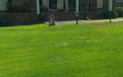 Photo of William I.'s yard after getting lawn care in Pinson, AL