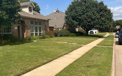 Photo of Mary P.'s yard after getting lawn care in Coppell, TX