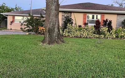 Photo of Jessica Y.'s yard after getting lawn care in Titusville, FL