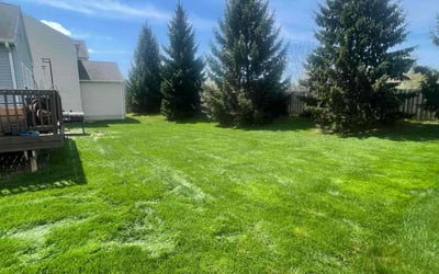 Photo of Back Forty A.'s yard after getting lawn care in Burton, OH