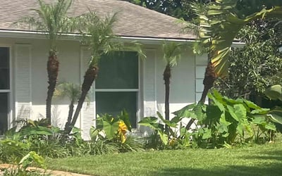 Photo of Lynn M.'s yard after getting lawn care in California City, CA
