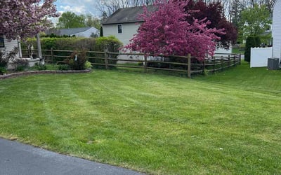 Photo of Frank T.'s yard after getting lawn care in Reading, PA