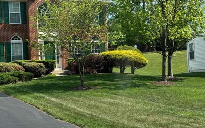 Photo of Marco B.'s yard after getting lawn care in Pensacola, FL