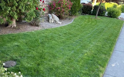 Photo of Jan G.'s yard after getting lawn care in Coeur D Alene, ID