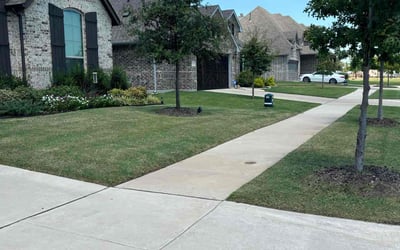 Photo of Brianna L.'s yard after getting lawn care in Waxahachie, TX