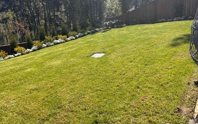 Photo of John Y.'s yard after getting lawn care in Gig Harbor, WA