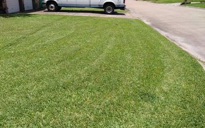 Photo of Robert M.'s yard after getting lawn care in Astoria, NY