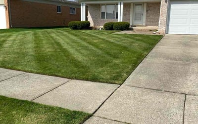 Photo of Chris S.'s yard after getting lawn care in Macomb, MI