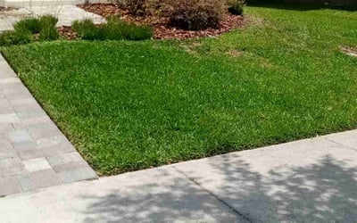 Photo of Cheryl F.'s yard after getting lawn care in Ocoee, FL