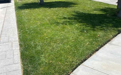 Photo of Karen N.'s yard after getting lawn care in Circleville, OH