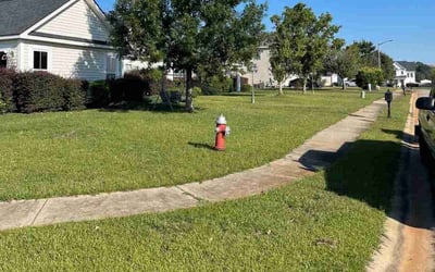 Photo of Joseph M.'s yard after getting lawn care in Warner Robins, GA