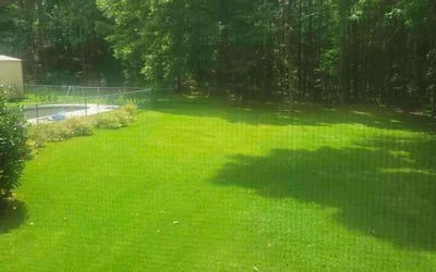 Photo of Andres D.'s yard after getting lawn care in Winder, GA