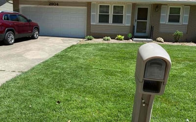 Photo of Thomas M.'s yard after getting lawn care in Marshfield, MO