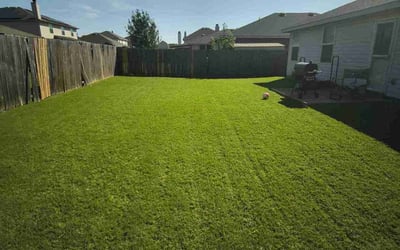 Photo of Jordan R.'s yard after getting lawn care in Burleson, TX