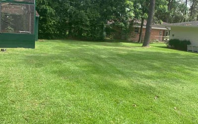 Photo of Bruce H.'s yard after getting lawn care in Dickinson, TX