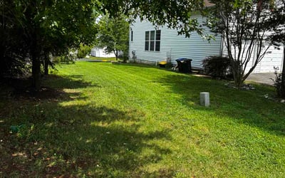 Photo of Rosalind T.'s yard after getting lawn care in Palmdale, CA