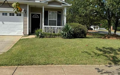 Photo of Michele D.'s yard after getting lawn care in Holly Springs, NC