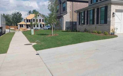 Photo of Whitney H.'s yard after getting lawn care in Carrollton, TX