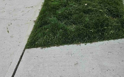 Photo of Natalie S.'s yard after getting lawn care in Palisades Park, NJ