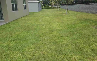 Photo of Candice B.'s yard after getting lawn care in Apopka, FL