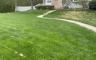 Photo of Abidah C.'s yard after getting lawn care in Crete, IL