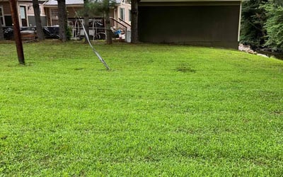 Photo of Julie S.'s yard after getting lawn care in Candler, NC
