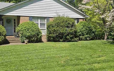 Photo of James M.'s yard after getting lawn care in Richmond, VA