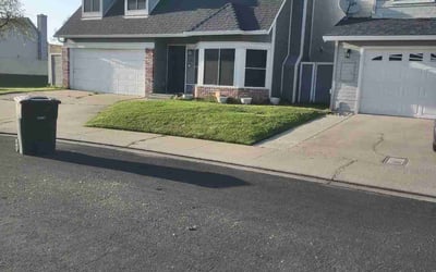 Photo of Cristina S.'s yard after getting lawn care in Modesto, CA