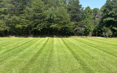 Photo of Shelley N.'s yard after getting lawn care in Newtown, PA