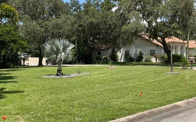 Photo of Helga G.'s yard after getting lawn care in Weeki Wachee, FL