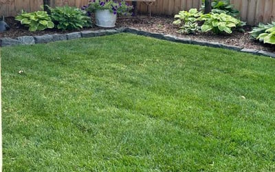 Photo of Tom D.'s yard after getting lawn care in Birmingham, MI