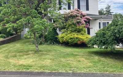 Photo of Don M.'s yard after getting lawn care in Needham, MA