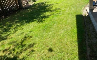 Photo of Denise J.'s yard after getting lawn care in Hillsboro, OR
