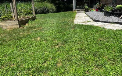 Photo of Vicki B.'s yard after getting lawn care in Forest Hill, MD