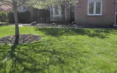 Photo of Wendy D.'s yard after getting lawn care in Harper Woods, MI