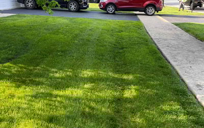 Photo of David K.'s yard after getting lawn care in Tallahassee, FL