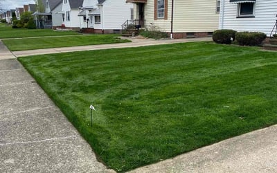 Photo of Darlene J.'s yard after getting lawn care in Garfield Heights, OH