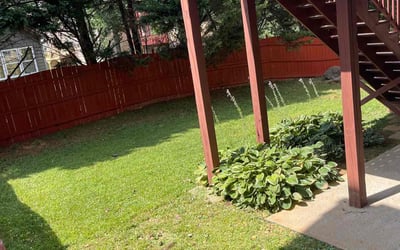 Photo of Steve C.'s yard after getting lawn care in Olney, MD