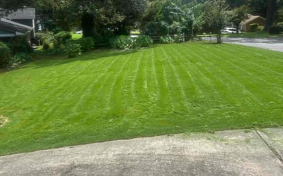 Photo of Kason I.'s yard after getting lawn care in Carrollton, GA