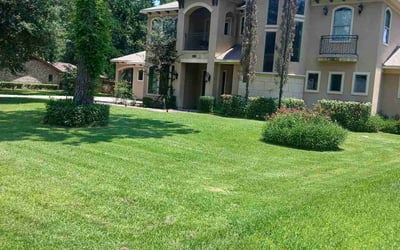Photo of Michael S.'s yard after getting lawn care in Johns Island, SC