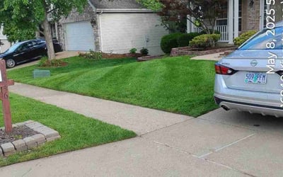 Photo of Michael V.'s yard after getting lawn care in Arlington, VA