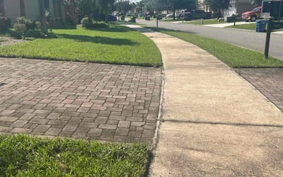 Photo of Francis M.'s yard after getting lawn care in Manhattan Beach, CA