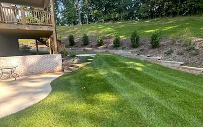 Photo of Jerry B.'s yard after getting lawn care in Kingston, TN
